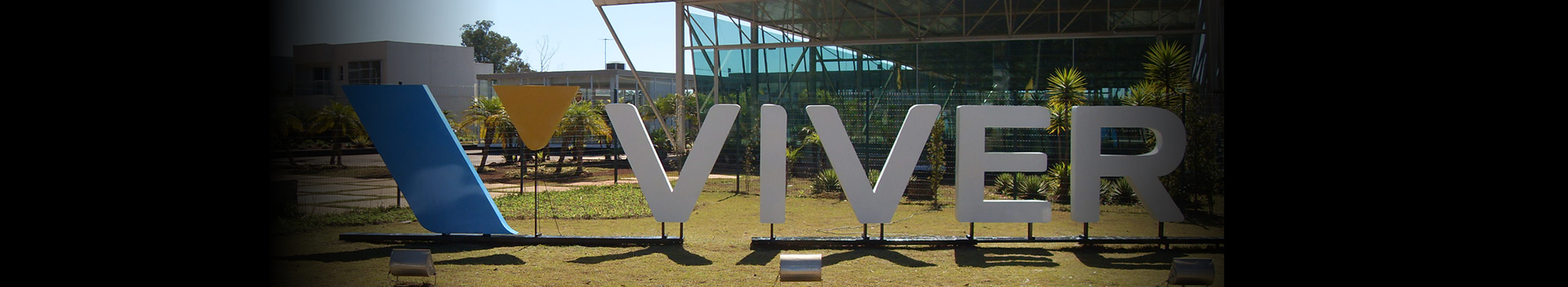 Letra Caixa e Logotipo