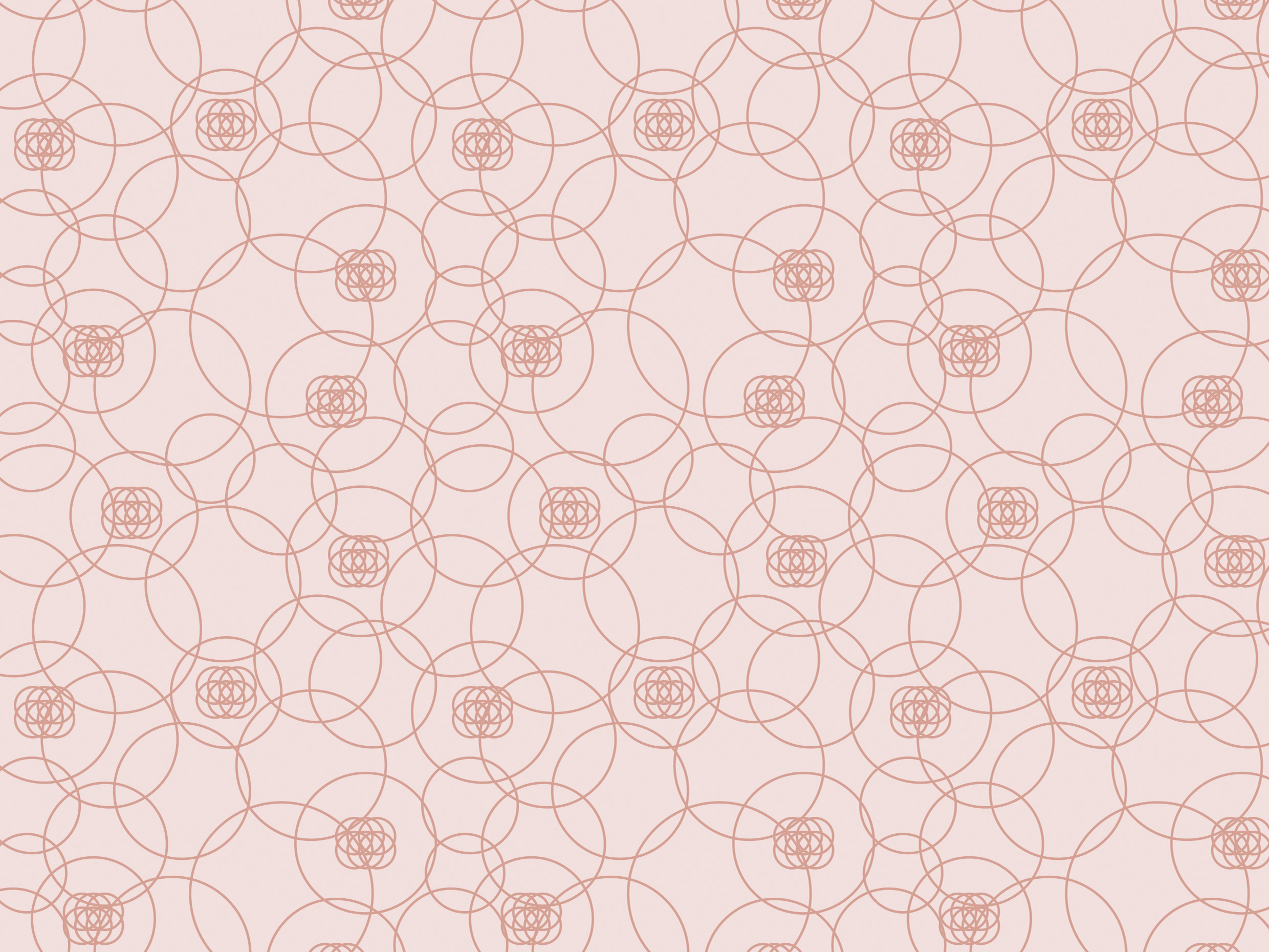 Papel de Parede HP Candy Rose